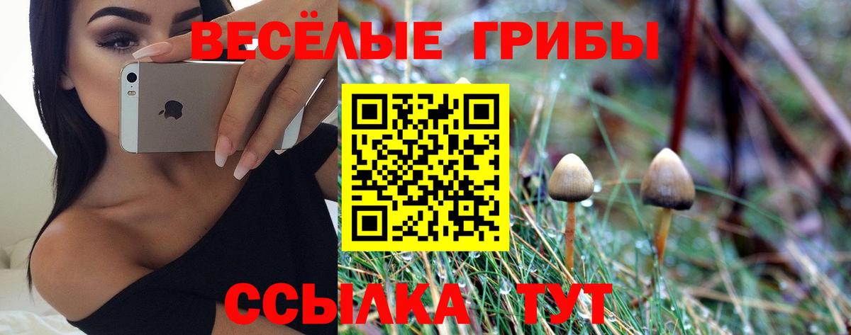Галлюциногенные грибы мухоморы  где купить наркотик  Сертолово  Вход с VPN 
